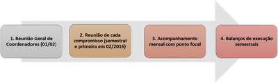 fluco monitoramento2.png