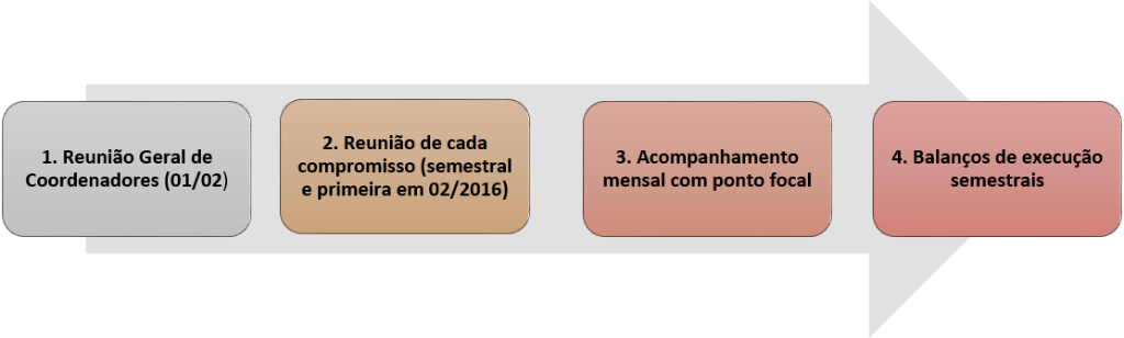 fluco monitoramento2.png