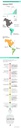 Infográfico LAI