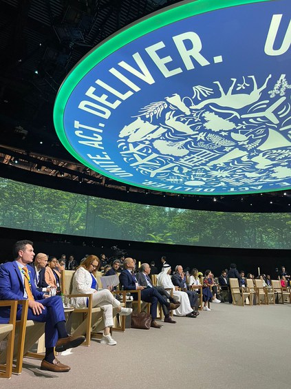 28ª Conferência das Partes da ONU