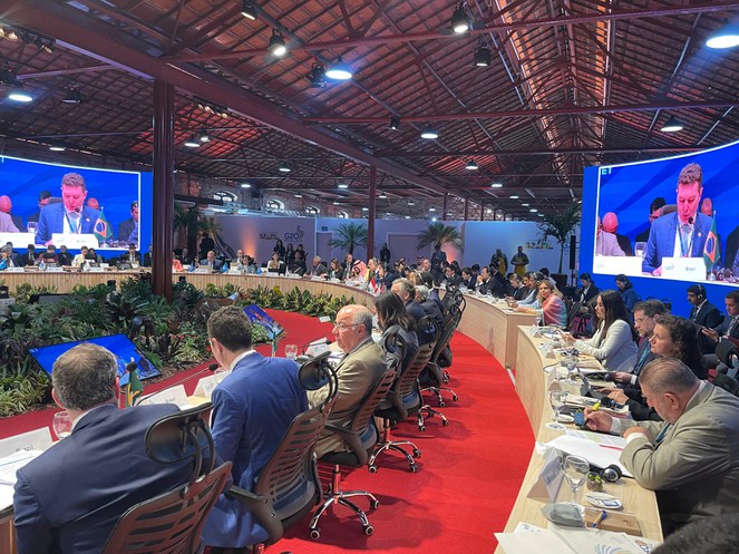 Grupo de Trabalho de Desenvolvimento do G20