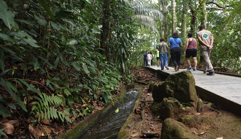 Na foto grupo de pessoas enfileiradas seguindo por uma trilha em uma floresta com um pequeno corrego
