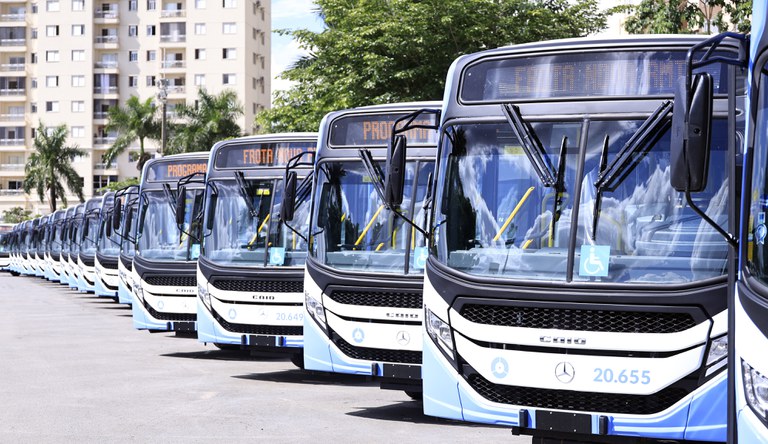 Na foto vários ônibus alinhados vistos de perfil
