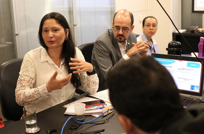 Mulher falando numa reunião