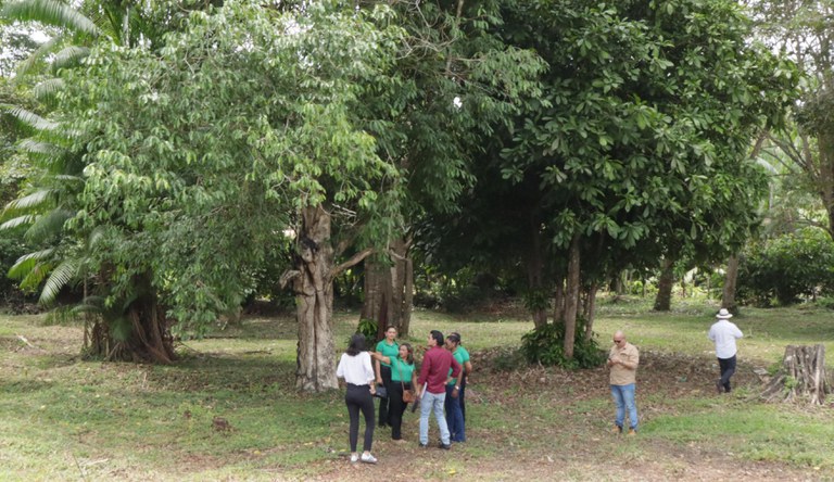Servidores em visita na zona rual de Bajuru, Pará