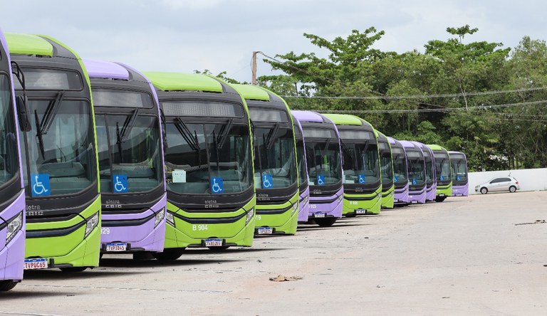 Na foto vários ônibus alinhados vistos de perfil