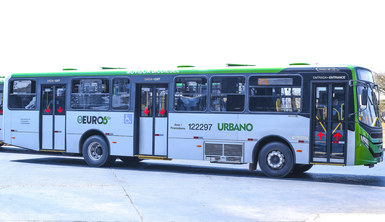 Na foto ônibus novos parados em um pátio
