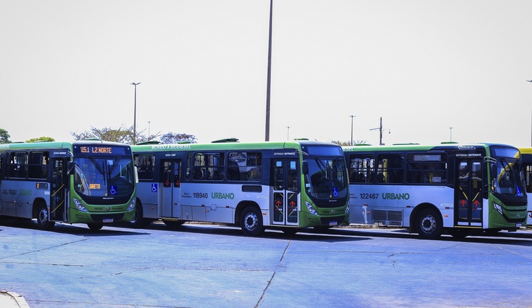 Na foto vários ônibus alinhados vistos de perfil