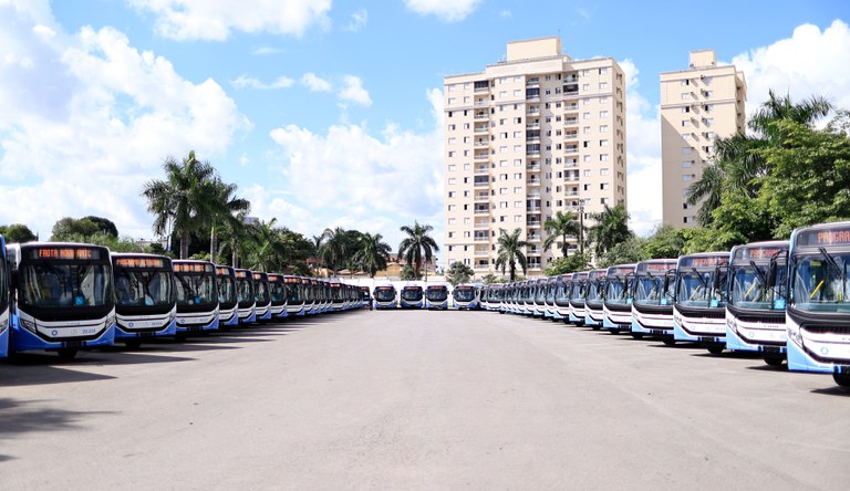 Na imagem ônibus do transporte público.
