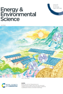 Revista 24