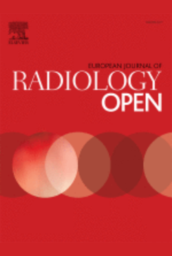 Revista 17