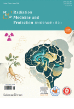 Revista 11