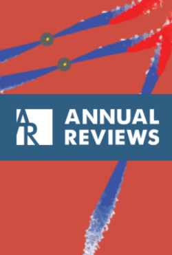 Revista 1