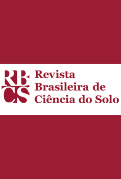 Revista 11