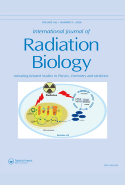 Revista 17