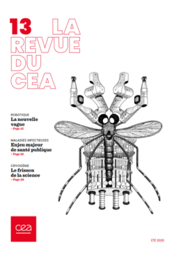 Revista 21