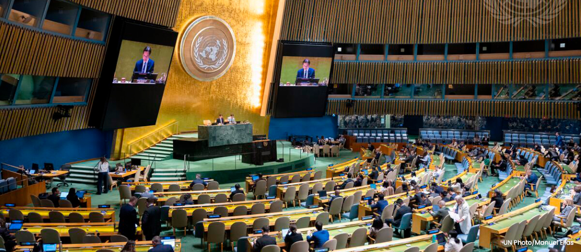 Banner ONU.jpg