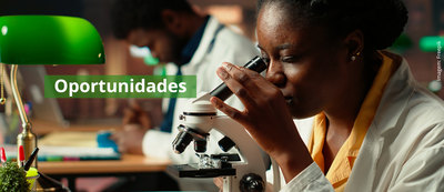 Oportunidades.png