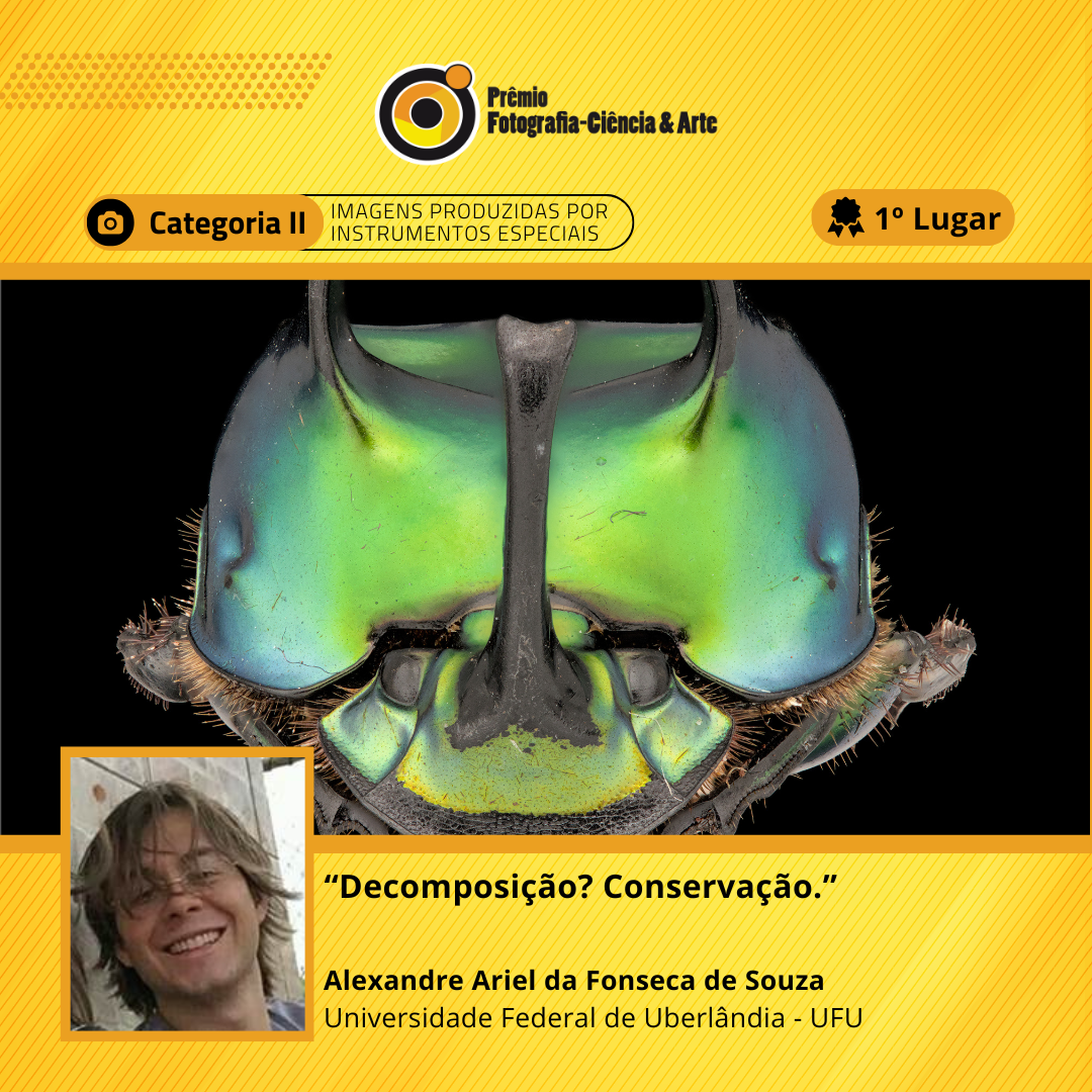 Alexandre_1 lugar_Cat 2.png