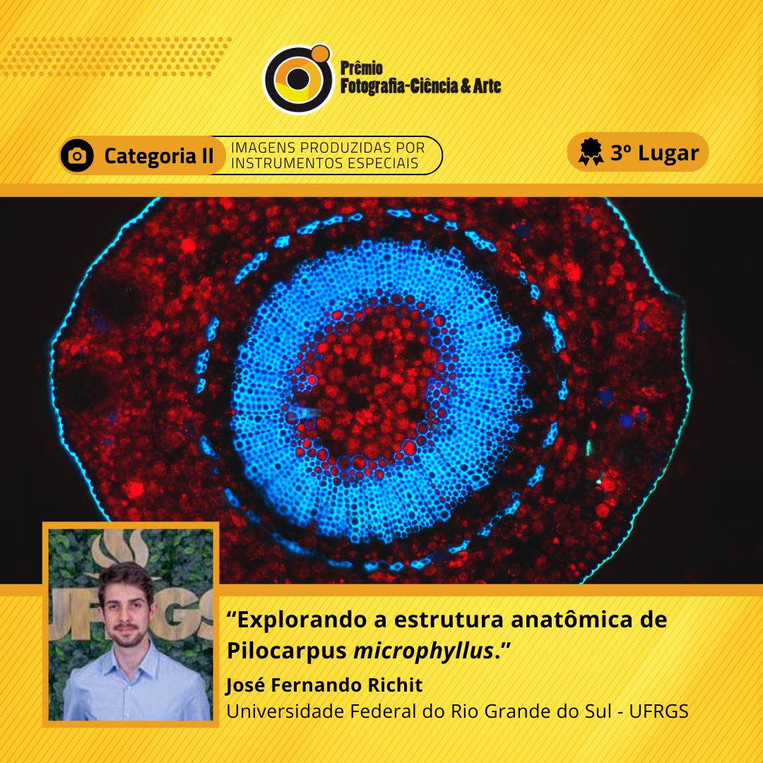 Jose_3 lugar_Cat 2.png