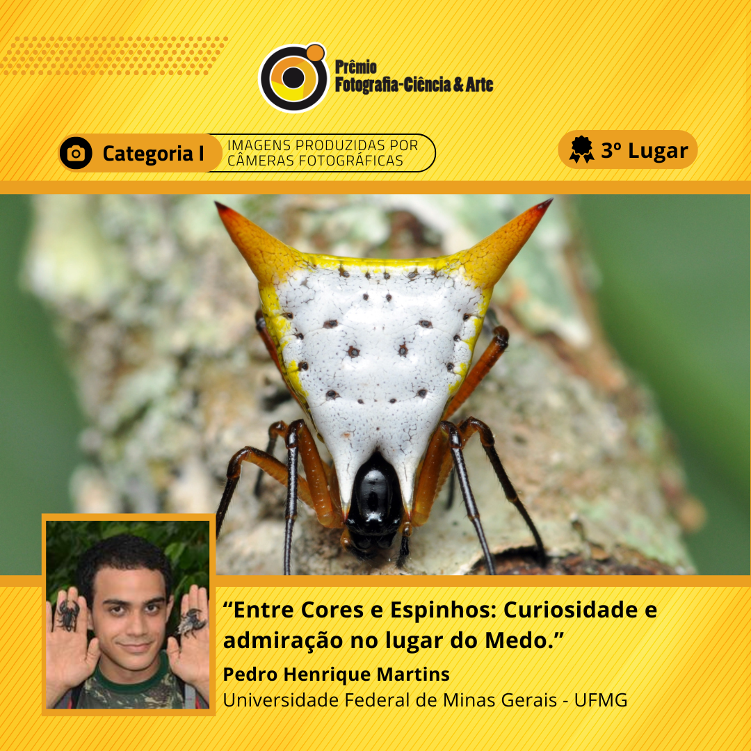 Pedro_3 lugar_Cat 1.png