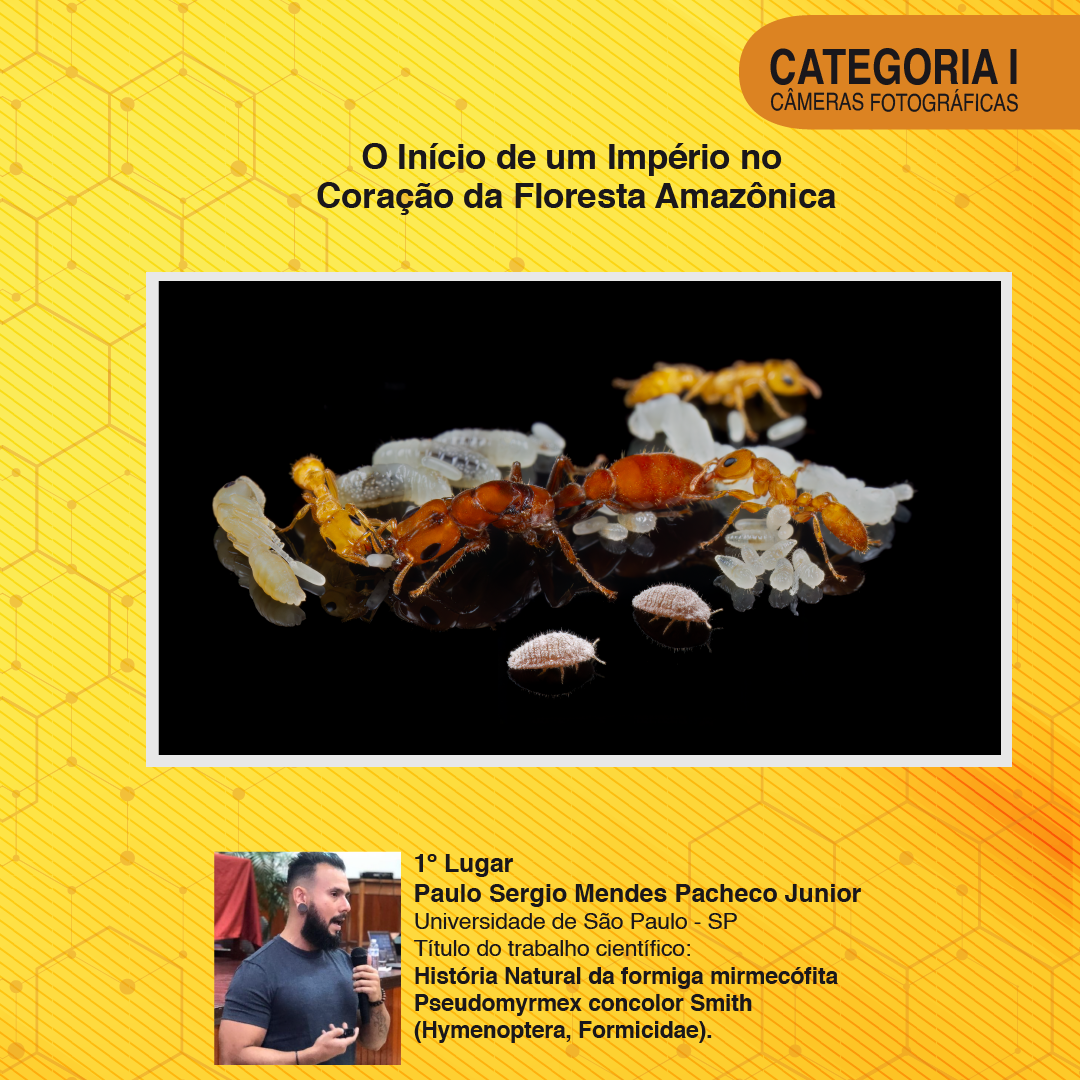 1º Lugar Cat I - Card.png