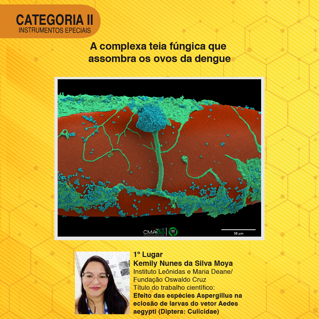 1º Lugar Cat II - Card.png