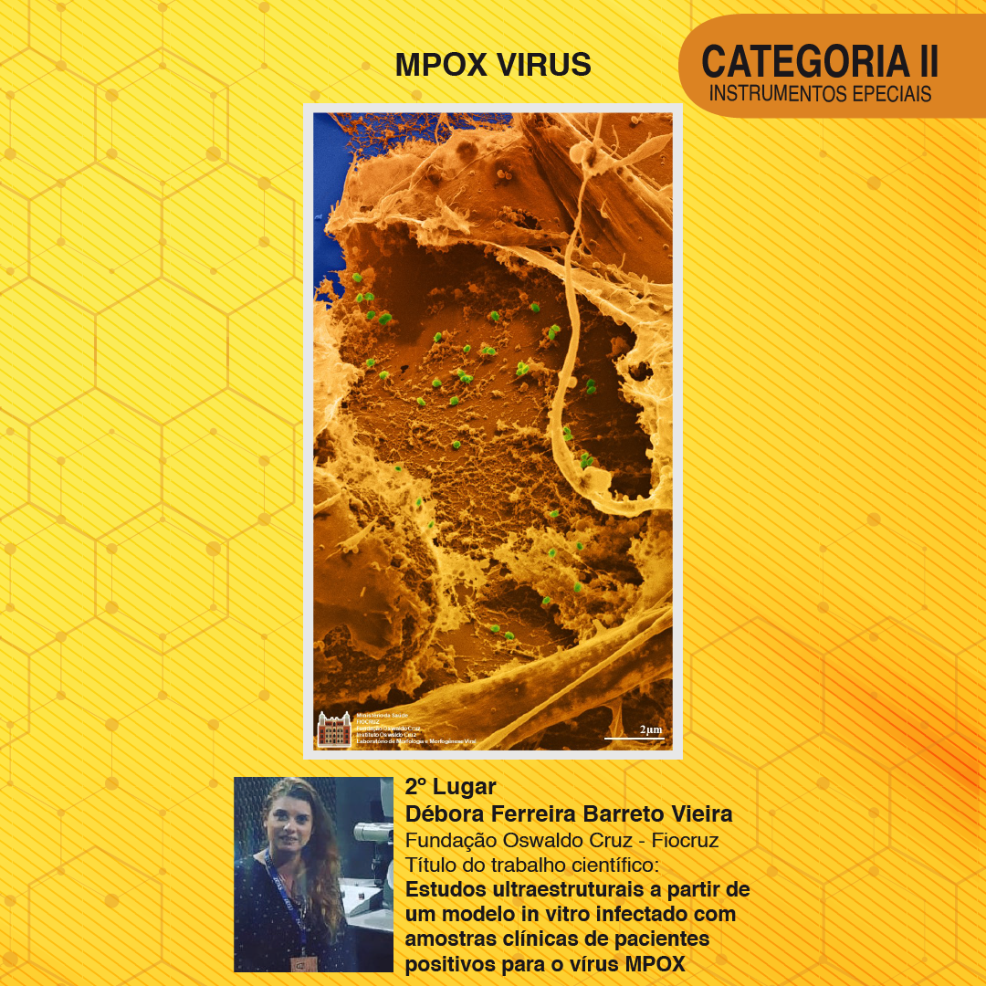 2º Lugar Cat II - Card.png