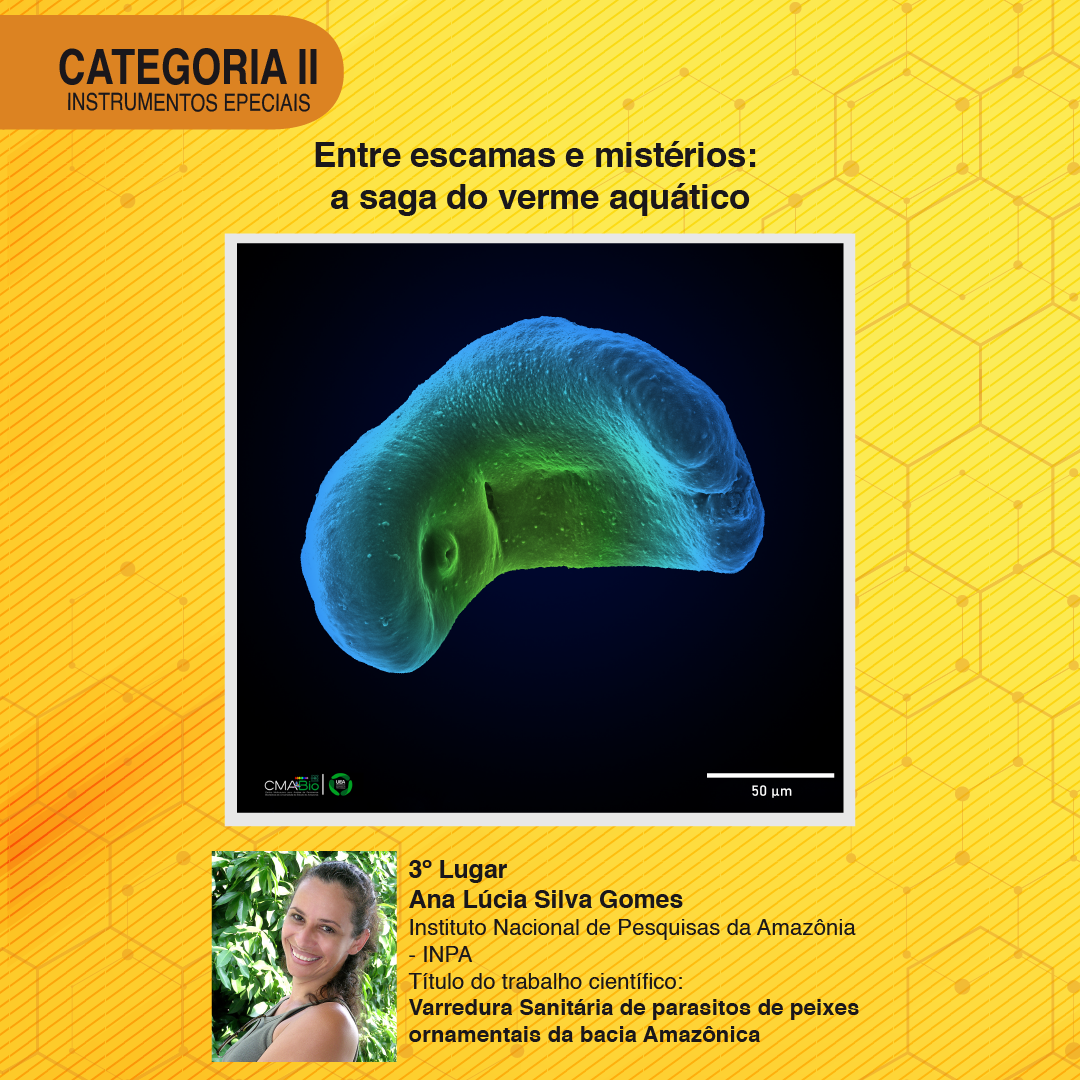 3º Lugar Cat II - Card.png