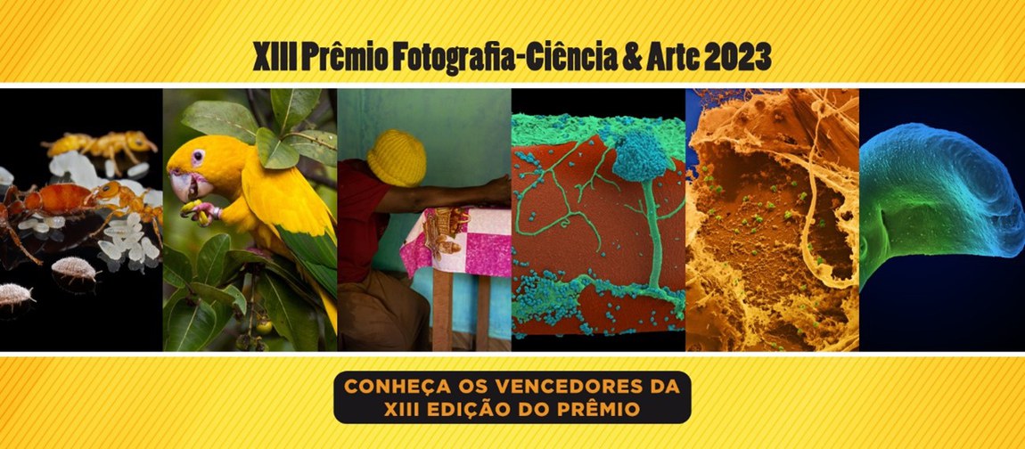 https://www.gov.br/cnpq/pt-br/assuntos/noticias/premios/premio-de-fotografia-do-cnpq-divulga-vencedores-da-edicao-2024