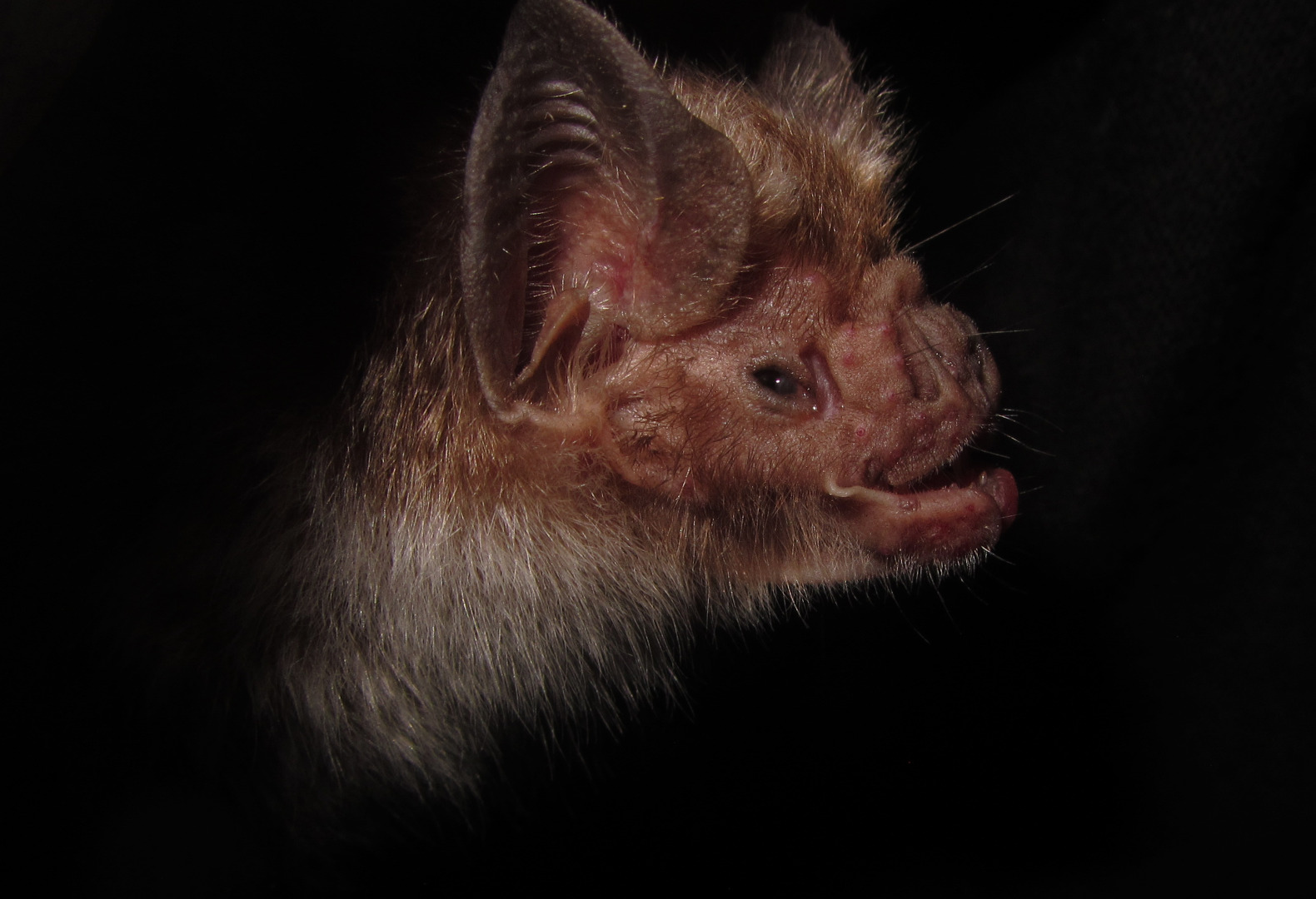 2Lugar 40018020235 Guilherme Siniciato Terra Garbino.jpg