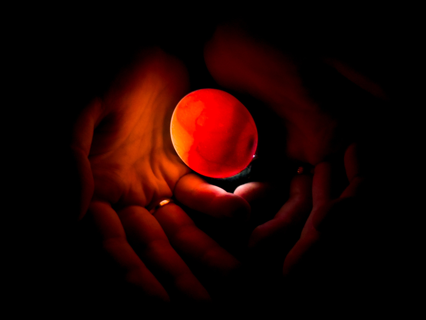 3Lugar 40042920233 Vladimir Pedro Peralva Borges Martins.jpg