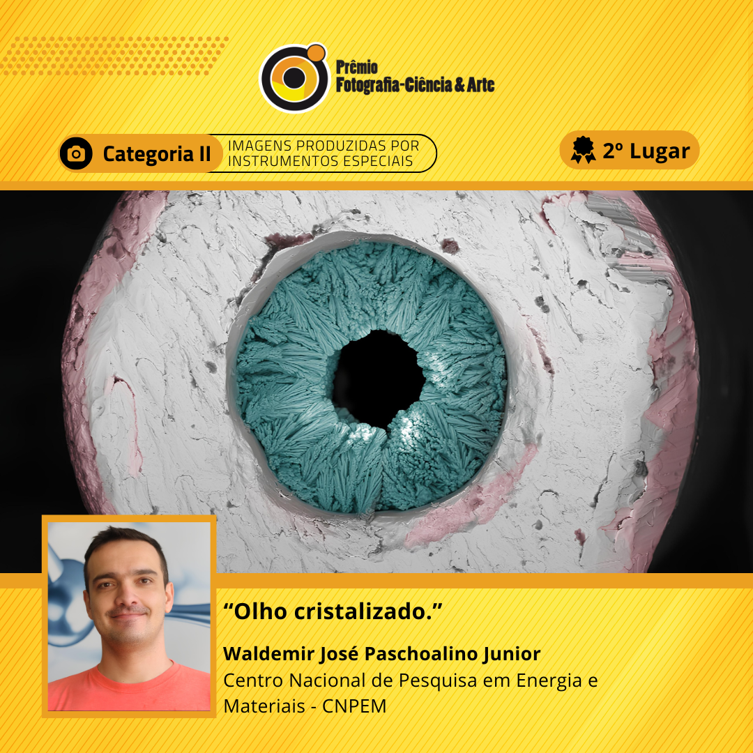 Waldemir_2 lugar_Cat 2.png