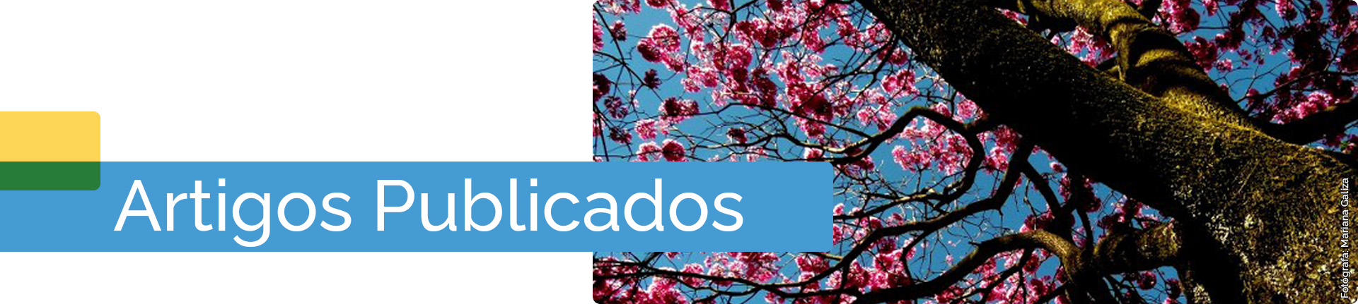 banner da página Resultados