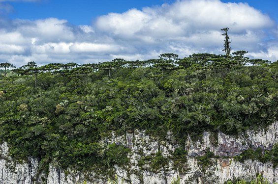 Fotográfo: Fernando Pinheiro