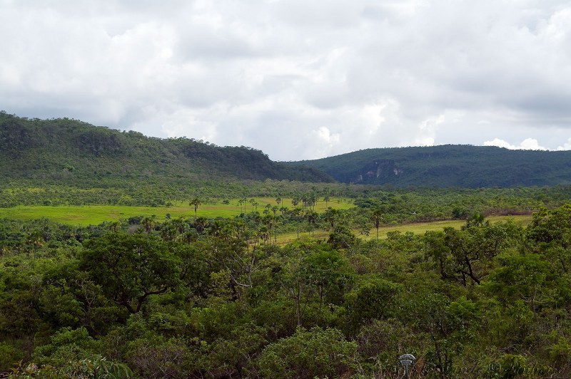 Fotográfo: Fernando Pinheiro
