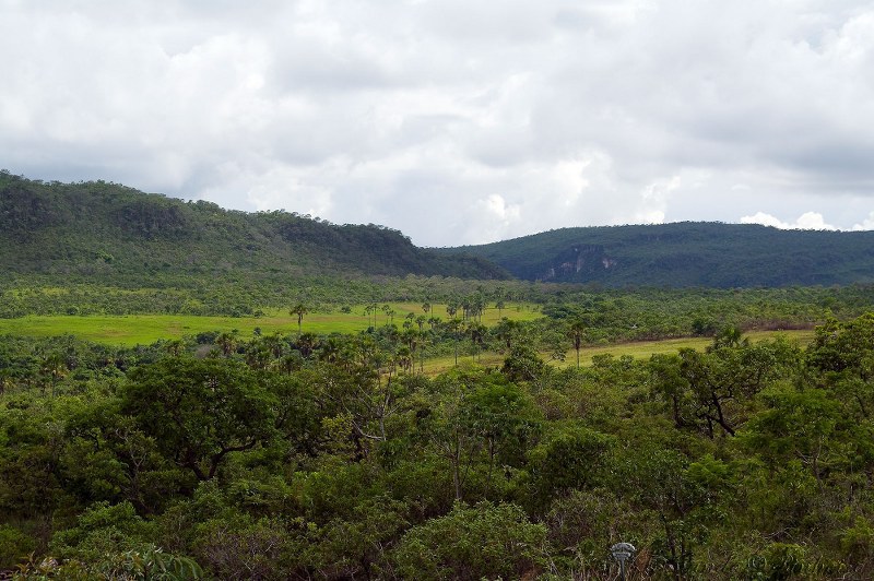 Fotográfo: Fernando Pinheiro