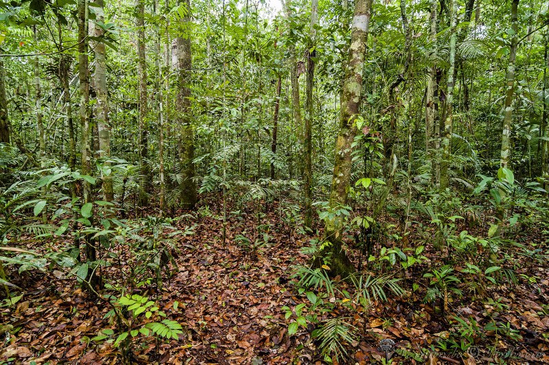 Fotográfo: Fernando Pinheiro