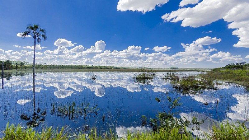 Fotográfo: Fernando Pinheiro
