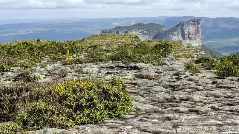 Fotográfo: Fernando Pinheiro