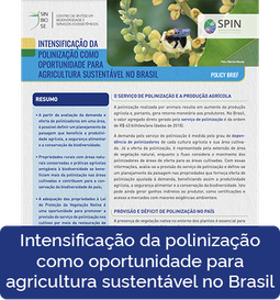 Intensificação da polinização como oportunidade para agricultura sustentável no Brasil