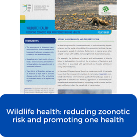 SAÚDE SILVESTRE: REDUZINDO O RISCO ZOONÓTICO E PROMOVENDO A SAÚDE ÚNICA