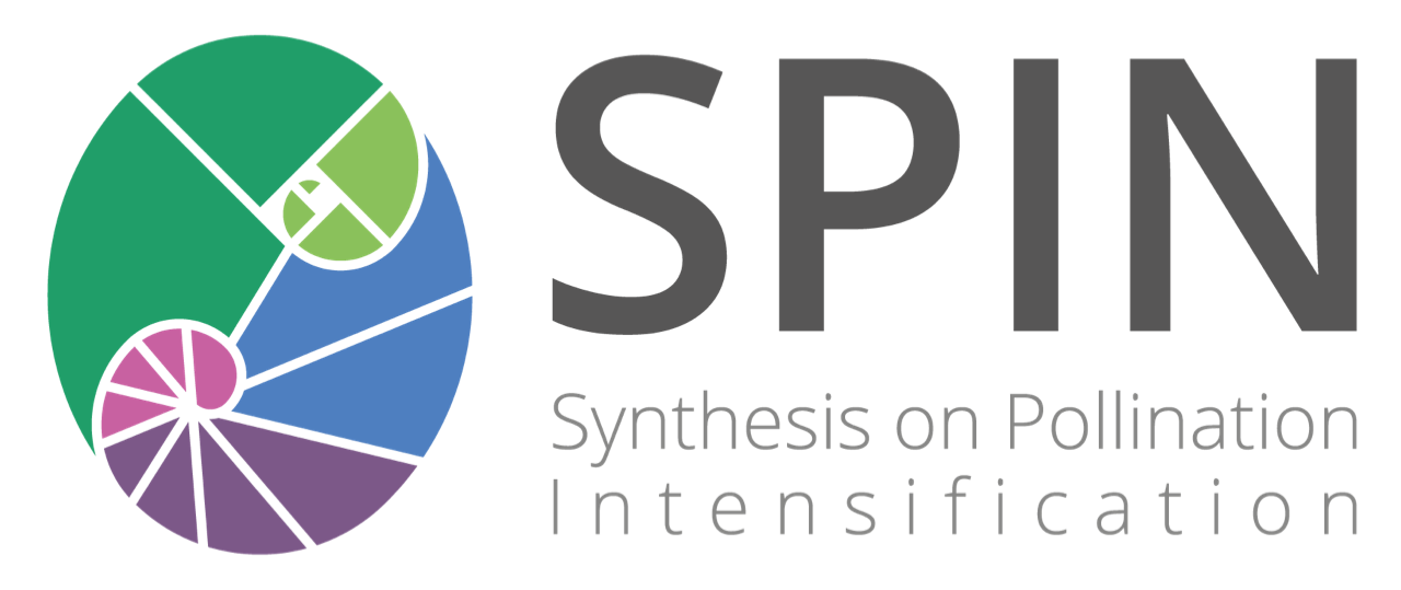 Logo SPIN