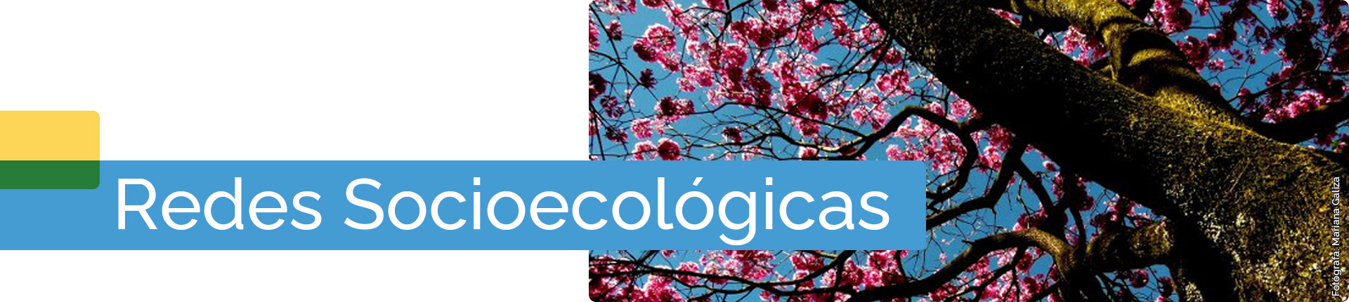 Redes Socioecológicas