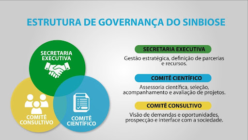 estrutura do sinbiose