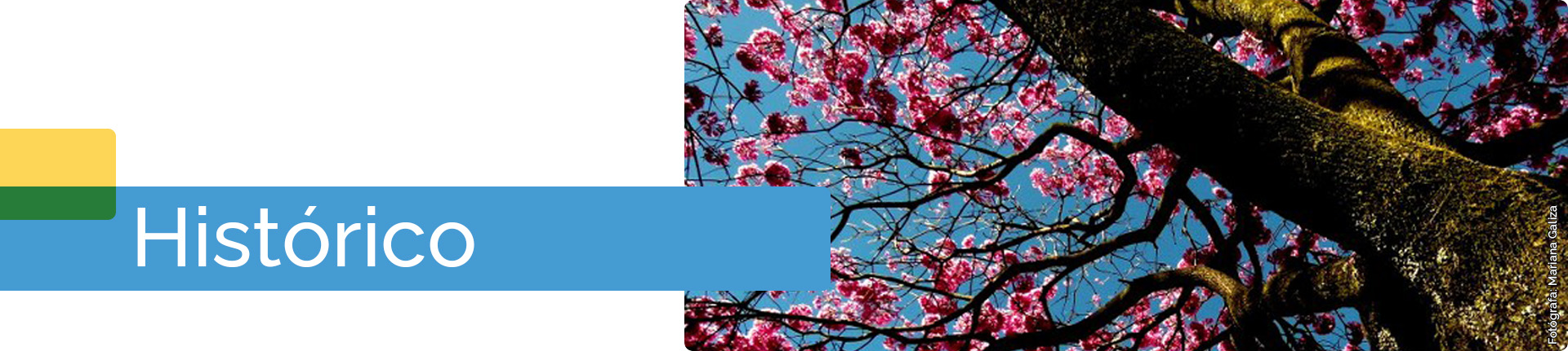banner da página Histórico