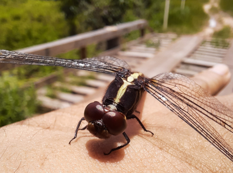 Banner Noticias 780x580 (69).png