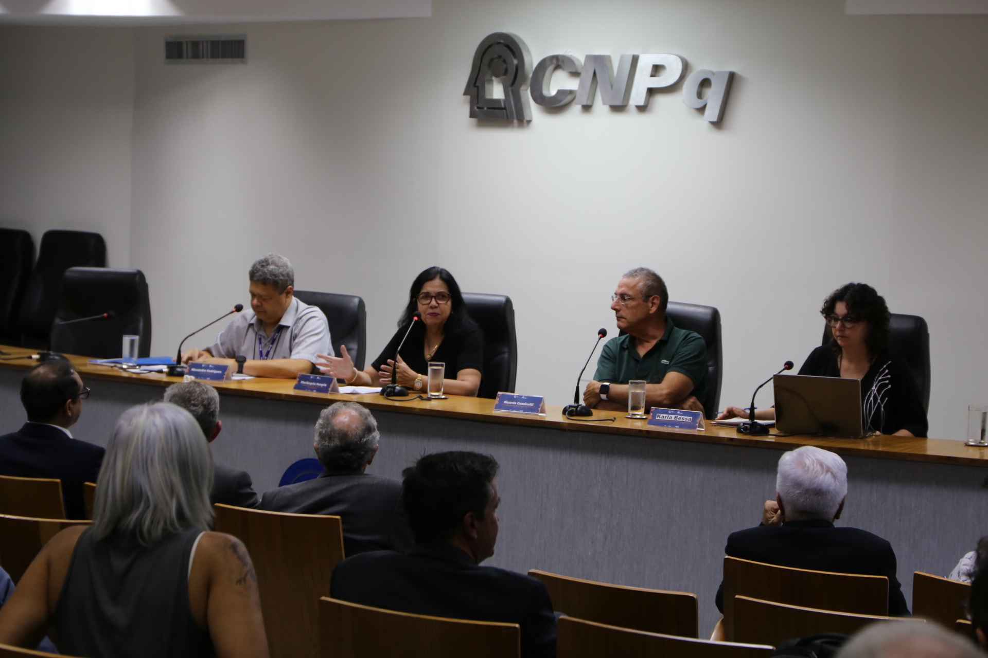 Profª Mariângela Hungria da Cunha, coordenadora do INCT MicroAgro, apresetntou resultados das pesquisas.