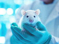 CNPq apoia projetos sobre métodos alternativos à experimentação animal em pesquisas; inscrições até 03/07