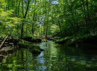 Chamada seleciona projetos de Biodiversidade, Energia Renovável, Mudanças Climáticas e Aeroespaço em parceria entre Brasil e Áustria